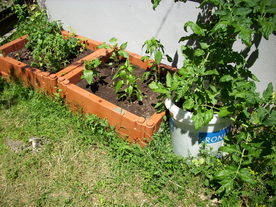 2010-08-24/DSCI6675.JPG