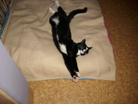2010-08-24/DSCI6730.JPG
