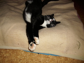 2010-08-24/DSCI6732.JPG