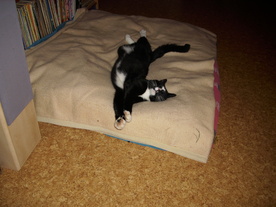 2010-08-24/DSCI6733.JPG