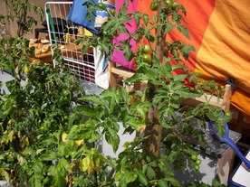 2010-08-24/DSCI6739.JPG