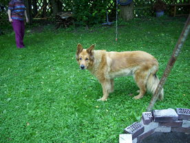 2010-08-24/DSCI6742.JPG