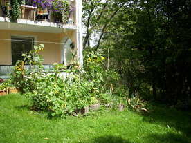 2010-08-24/DSCI6743.JPG