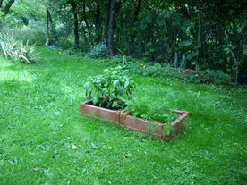 2010-08-24/DSCI6744.JPG