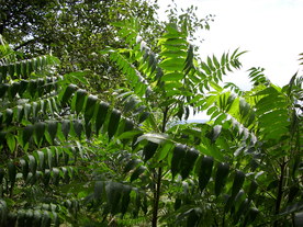 2010-08-24/DSCI6748.JPG