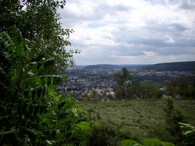 2010-08-24/DSCI6749.JPG