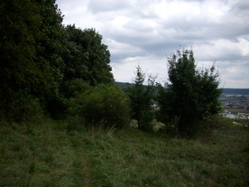 2010-08-24/DSCI6753.JPG