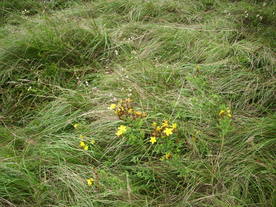 2010-08-24/DSCI6755.JPG