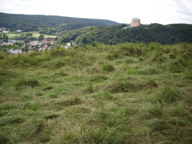 2010-08-24/DSCI6756.JPG