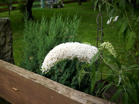 2010-08-24/DSCI6762.JPG