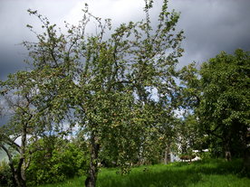 2010-08-24/DSCI6766.JPG