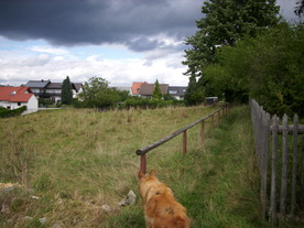 2010-08-24/DSCI6775.JPG