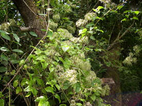 2010-08-24/DSCI6777.JPG