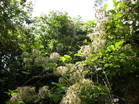 2010-08-24/DSCI6778.JPG