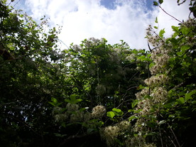 2010-08-24/DSCI6779.JPG