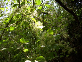 2010-08-24/DSCI6780.JPG