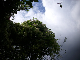 2010-08-24/DSCI6781.JPG