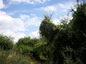 2010-08-24/DSCI6782.JPG