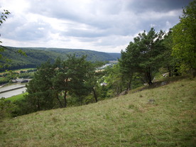 2010-08-24/DSCI6786.JPG