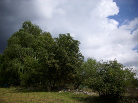 2010-08-24/DSCI6788.JPG