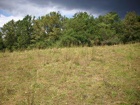 2010-08-24/DSCI6789.JPG
