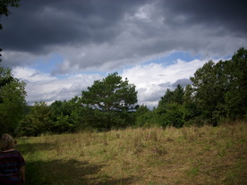 2010-08-24/DSCI6790.JPG
