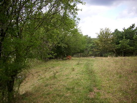 2010-08-24/DSCI6793.JPG