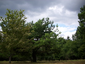 2010-08-24/DSCI6795.JPG