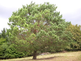 2010-08-24/DSCI6796.JPG