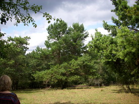 2010-08-24/DSCI6797.JPG