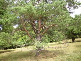 2010-08-24/DSCI6799.JPG