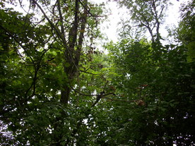 2010-10-09/DSCI6800.JPG