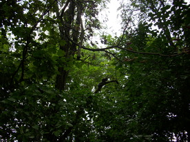 2010-10-09/DSCI6802.JPG