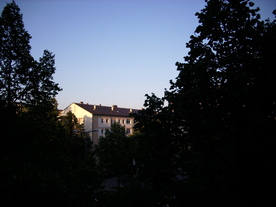2010-10-09/DSCI6837.JPG