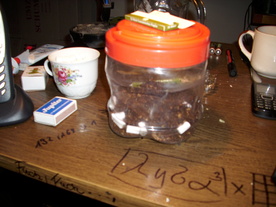 2010-10-09/DSCI6852.JPG
