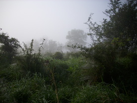 2010-10-09/DSCI6860.JPG
