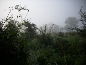2010-10-09/DSCI6861.JPG