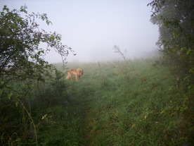 2010-10-09/DSCI6862.JPG