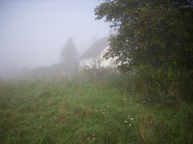 2010-10-09/DSCI6865.JPG