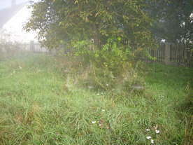 2010-10-09/DSCI6866.JPG