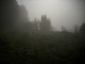 2010-10-09/DSCI6874.JPG