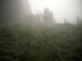 2010-10-09/DSCI6875.JPG