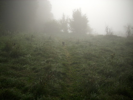 2010-10-09/DSCI6876.JPG