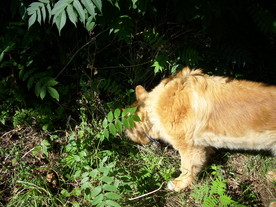 2010-10-09/DSCI6881.JPG