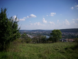 2010-10-09/DSCI6886.JPG