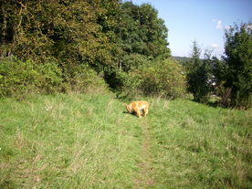 2010-10-09/DSCI6890.JPG