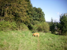 2010-10-09/DSCI6892.JPG