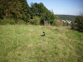 2010-10-09/DSCI6902.JPG