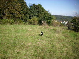2010-10-09/DSCI6903.JPG