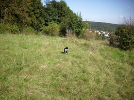 2010-10-09/DSCI6904.JPG